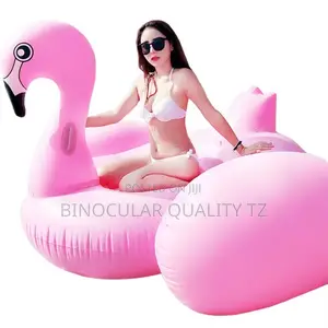 Flamingo Swimming Pool