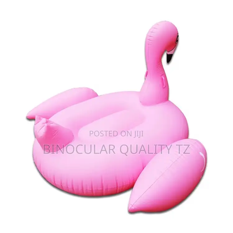 Flamingo Swimming Pool
