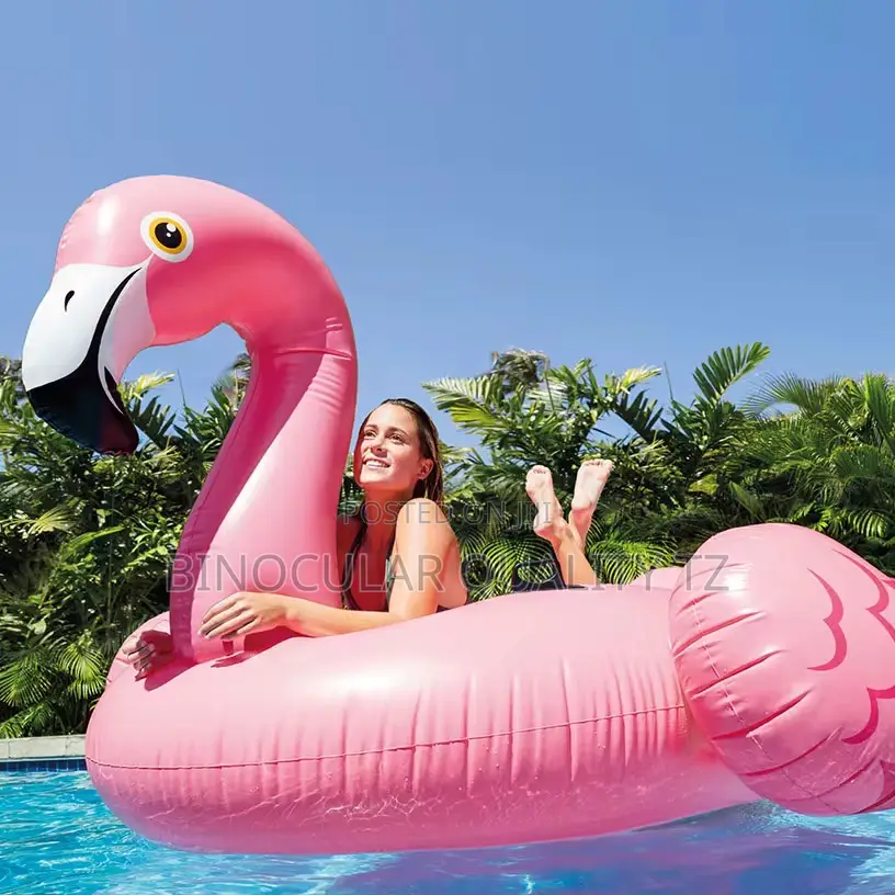 Flamingo Swimming Pool