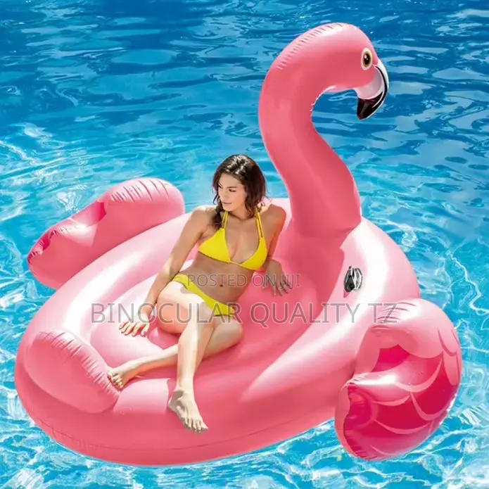Flamingo Swimming Pool