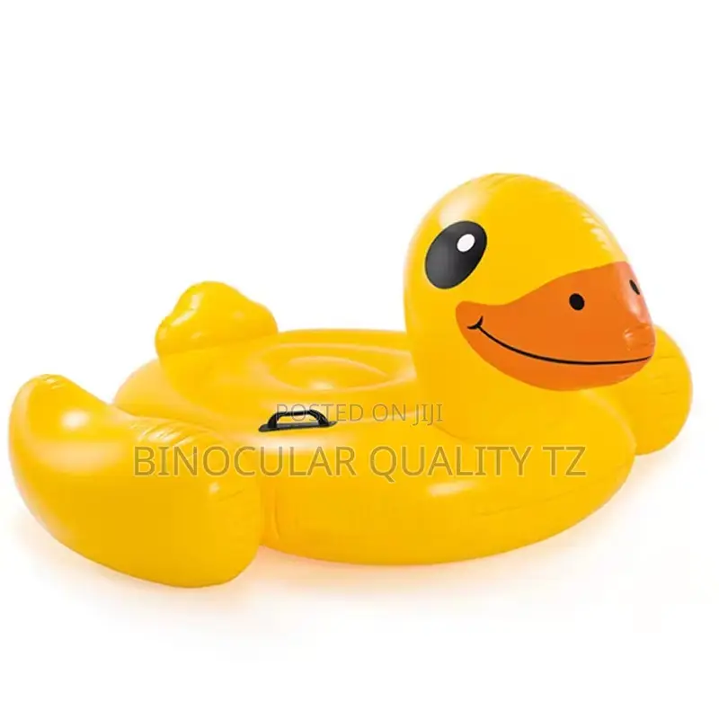 Yellow Duck Pool Big