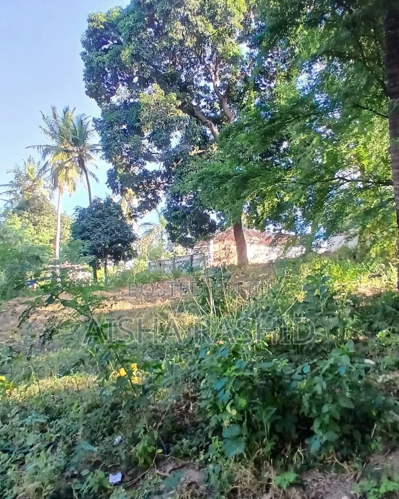 Kiwanja Kwa Ajili Ya Makazi