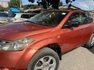 Nissan Murano SL AWD 2005 Orange