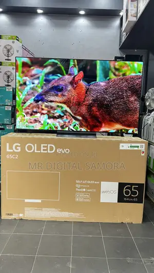 Lg Oled 65 Inch Model C2