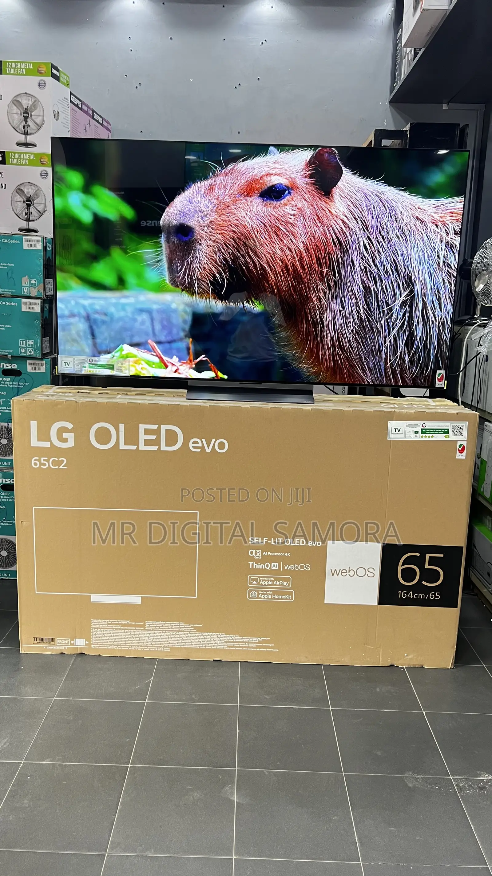 Lg Oled 65 Inch Model C2