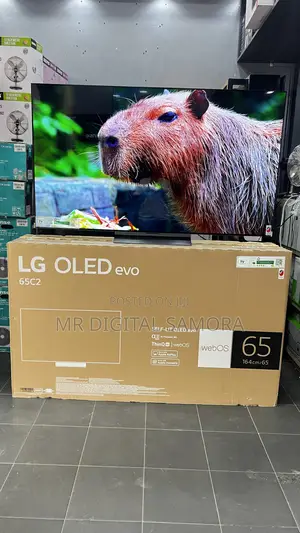 Lg Oled 65 Inch Model C2