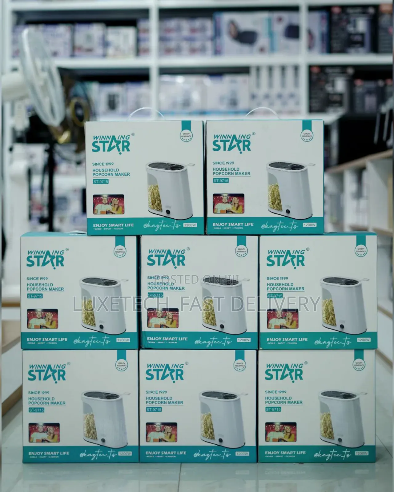 Winning Star Electric Popcorn Maker St-9715