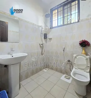 Furnished 1bdrm Apartment in Mikocheni for rent