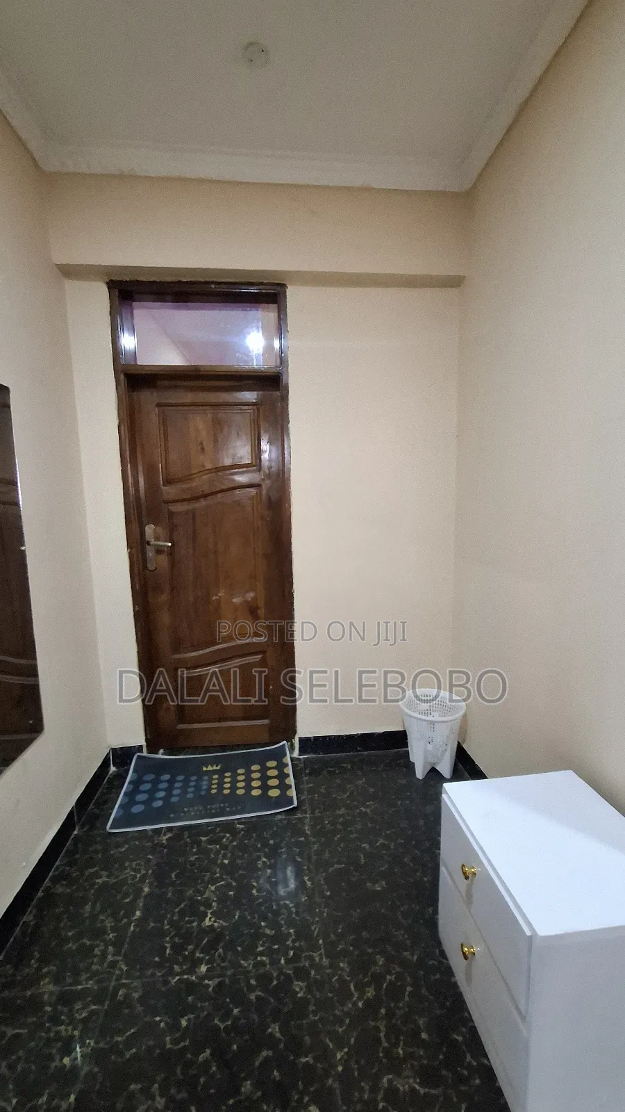 Furnished Mini Flat in Kariakoo for rent