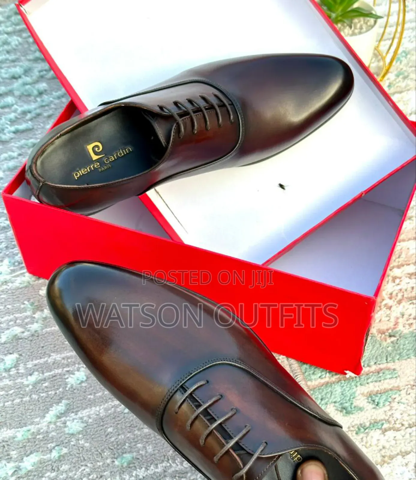 Pierre Cardin Shoes Official Za Ngozi