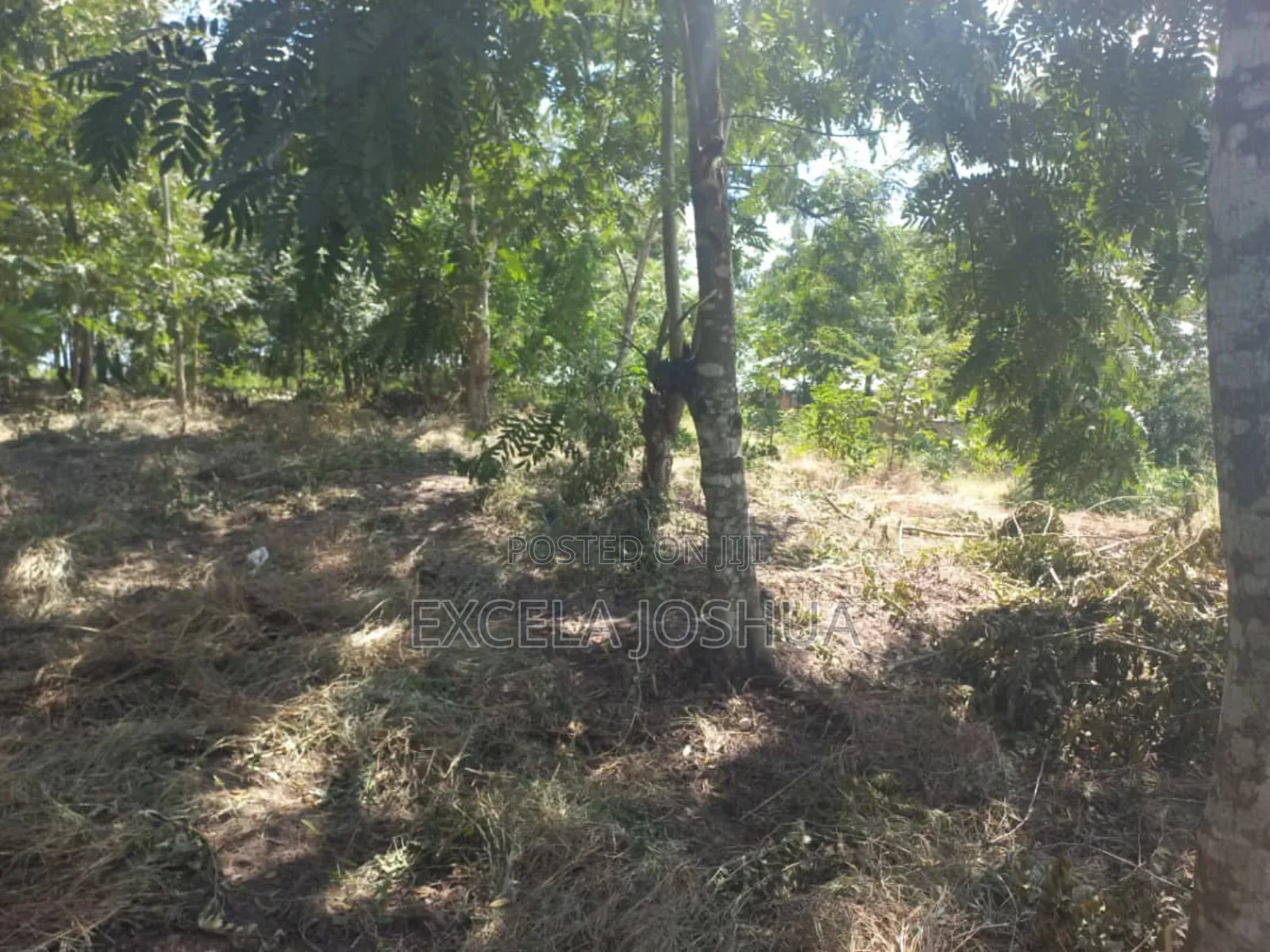 Kiwanja Kinauzwa Kiluvya Madukani Kwa Omary