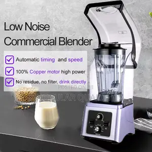Soundproof Blender 4l