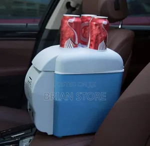 Photo - Car Fridge and Storage