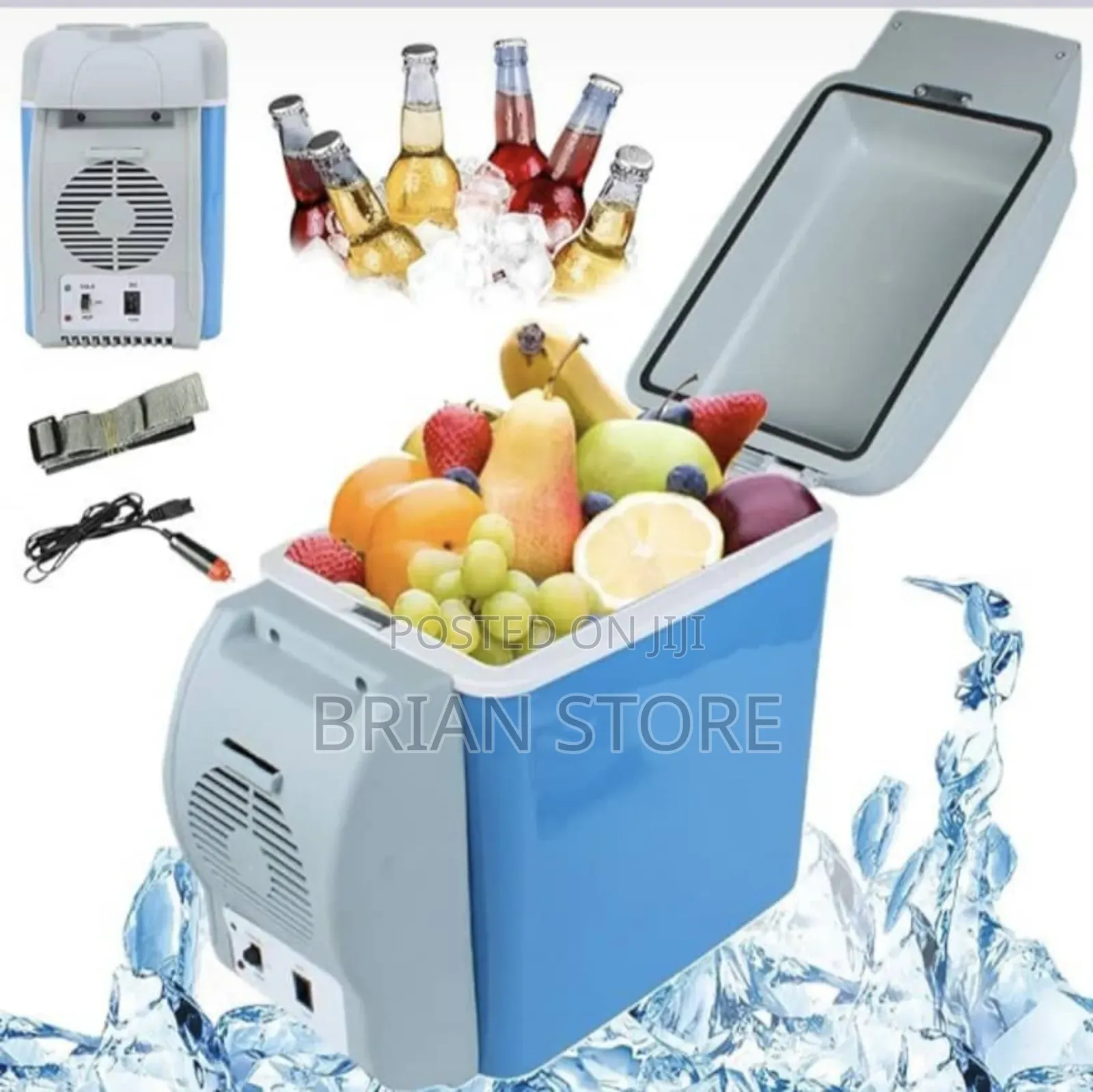 Car Fridge and Storage