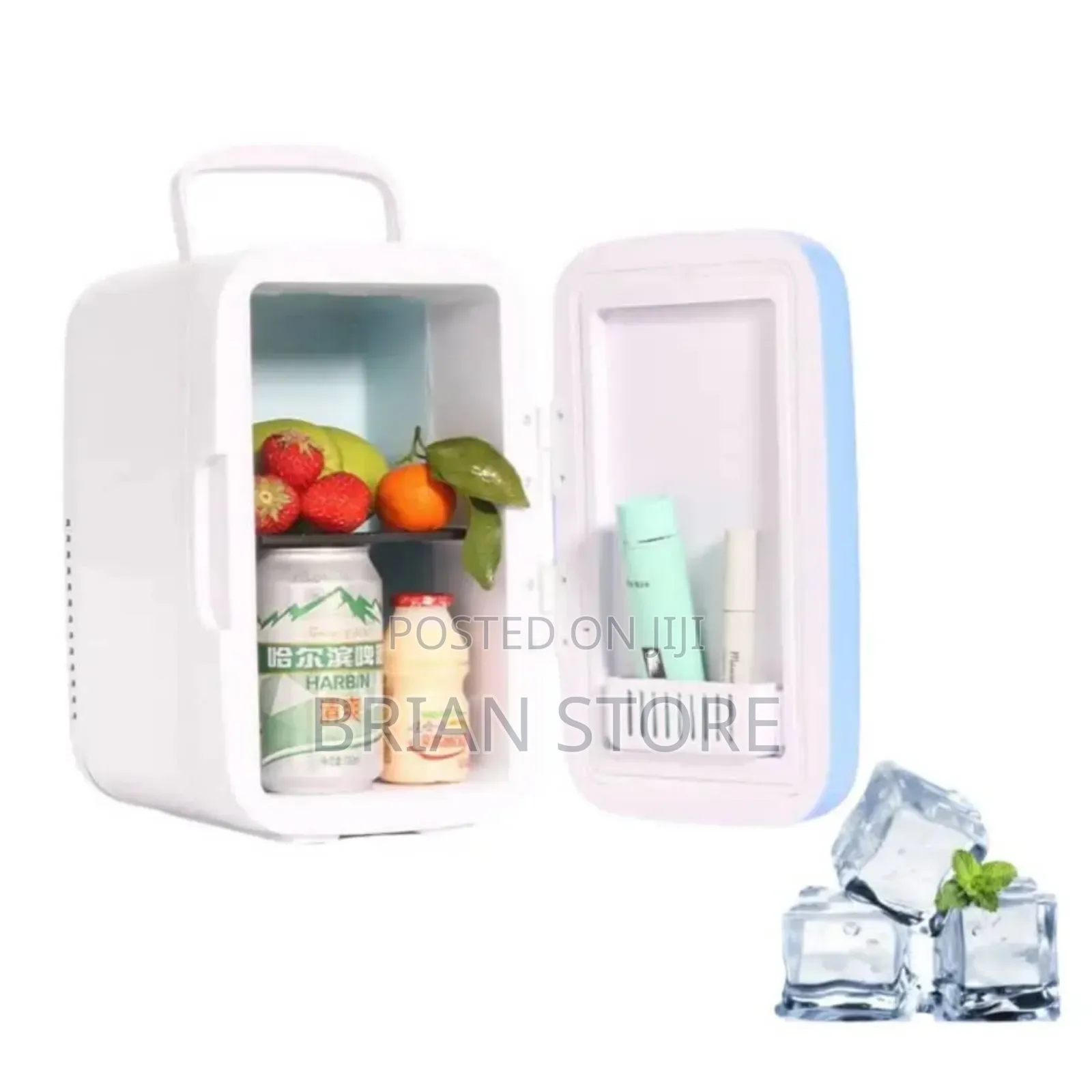Car Fridge and Storage
