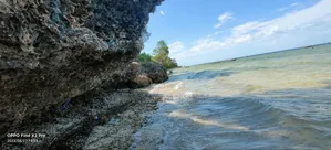 Beach Plot for Sale at Zanzibar