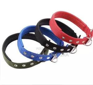 Photo - Premium Dog Collars