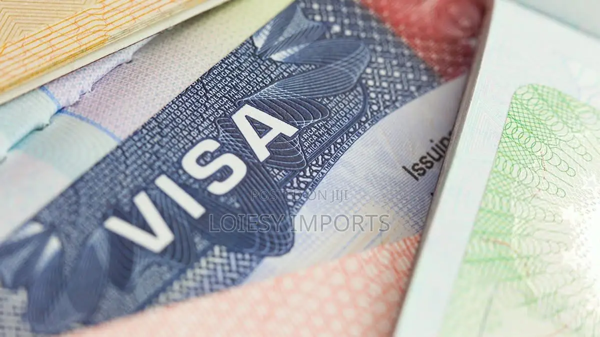 Us Visa Application