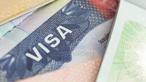 Us Visa Application