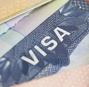 Us Visa Application