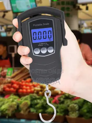 Portable Electronic Scale
