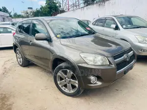 Photo - Toyota RAV4 2009 Brown