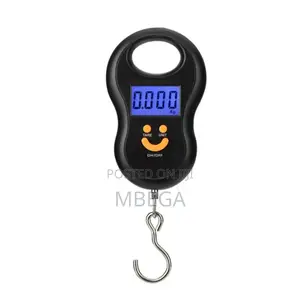 Portable Scale
