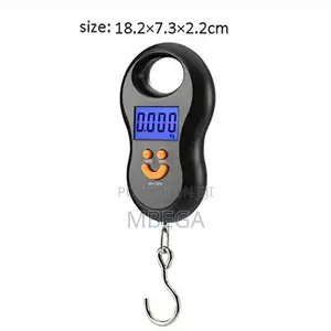 Portable Scale