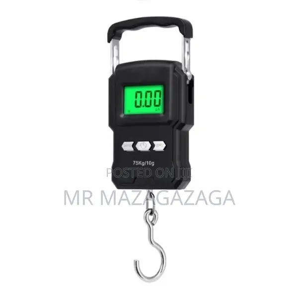 Portable Electronic Scale