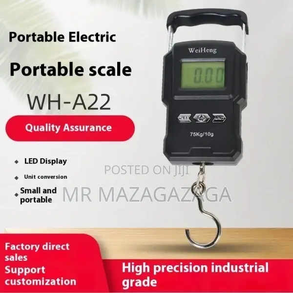 Portable Electronic Scale