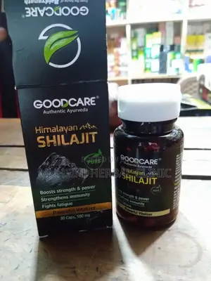 Shilajit Power