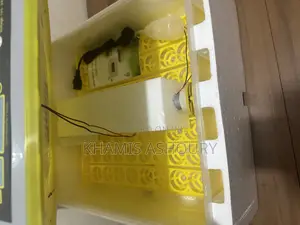 Egg Incubator 56 Eggs