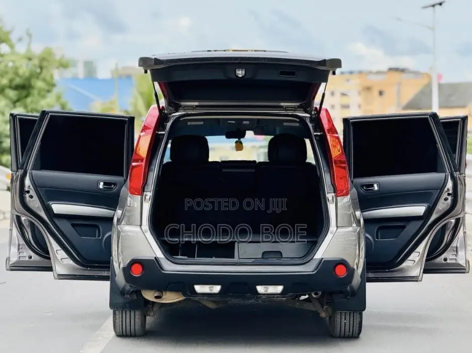 Nissan X-Trail 2010 Gray