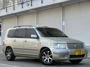 Toyota Succeed 2004 Gold