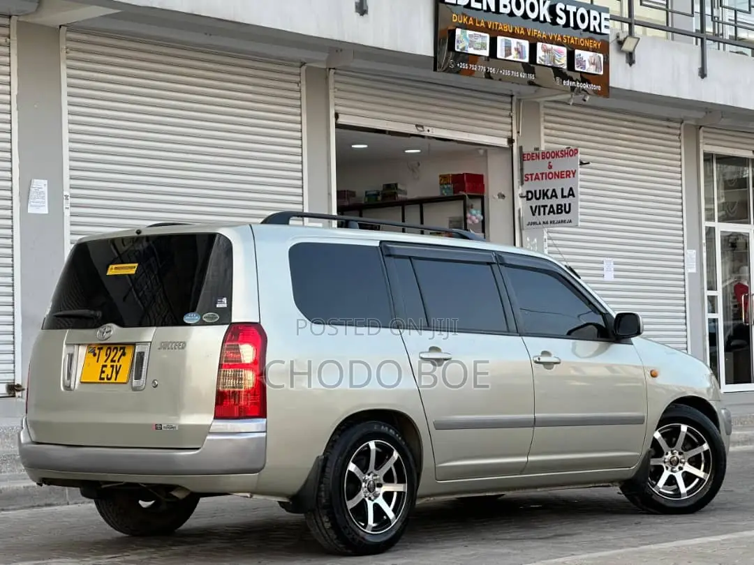 Toyota Succeed 2004 Gold