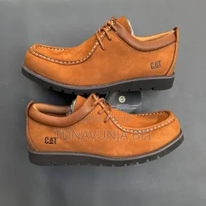 Cats Cracks Leather Shoes
