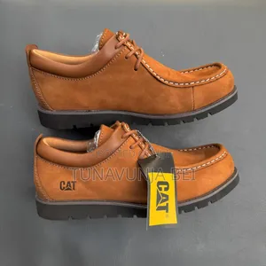 Cats Cracks Leather Shoes