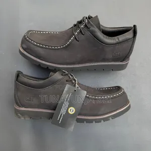 Cats Cracks Leather Shoes
