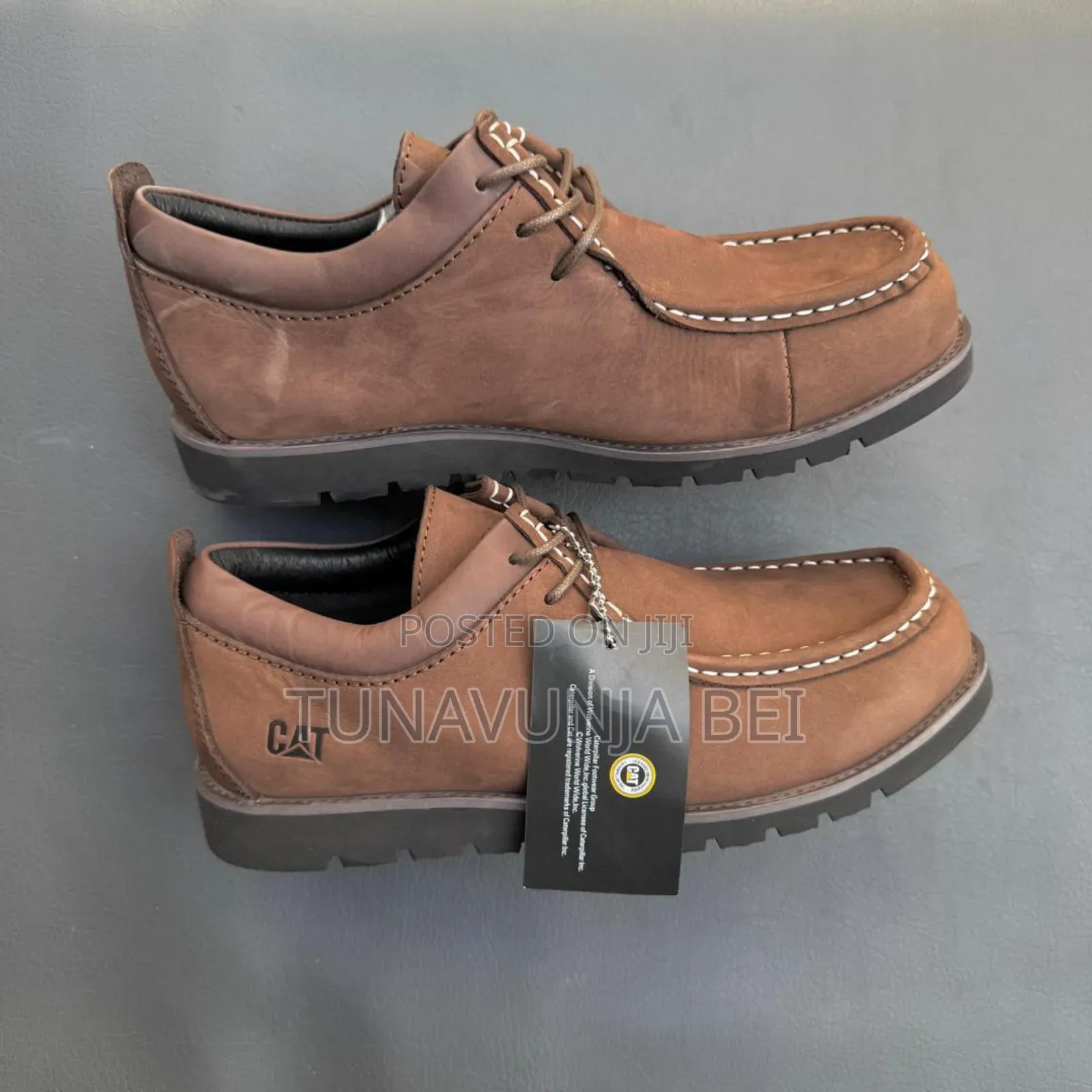 Cats Cracks Leather Shoes