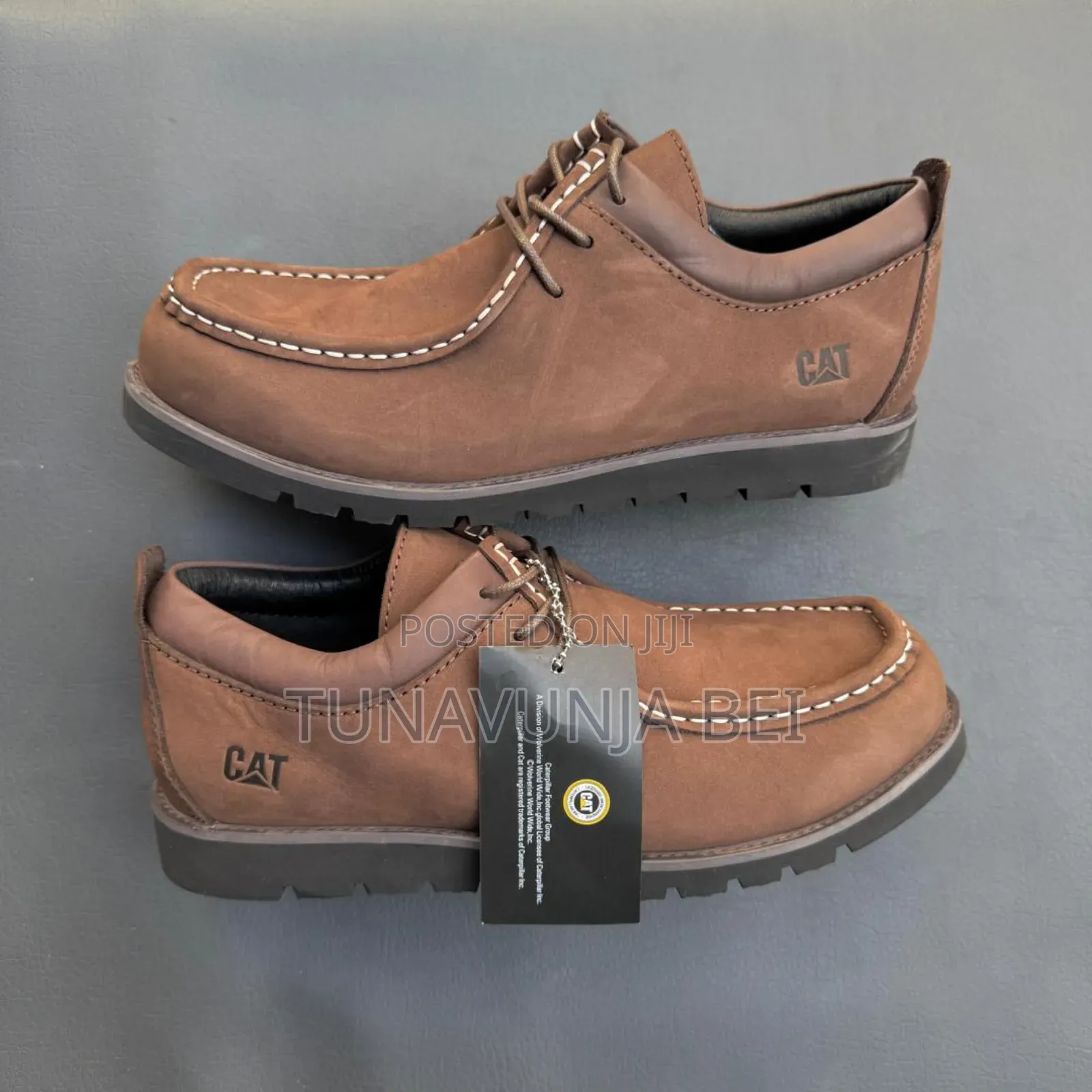 Cats Cracks Leather Shoes