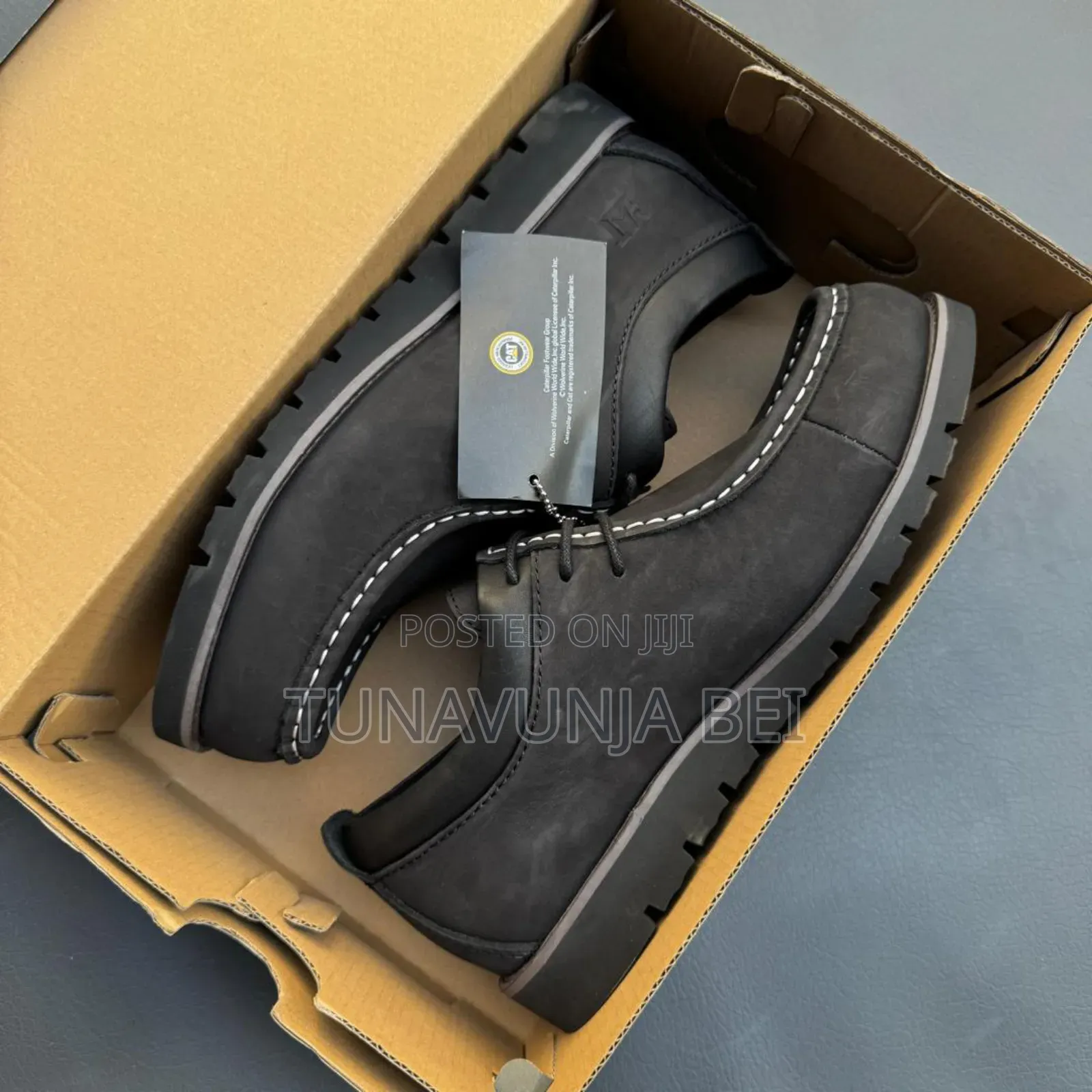 Cats Cracks Leather Shoes