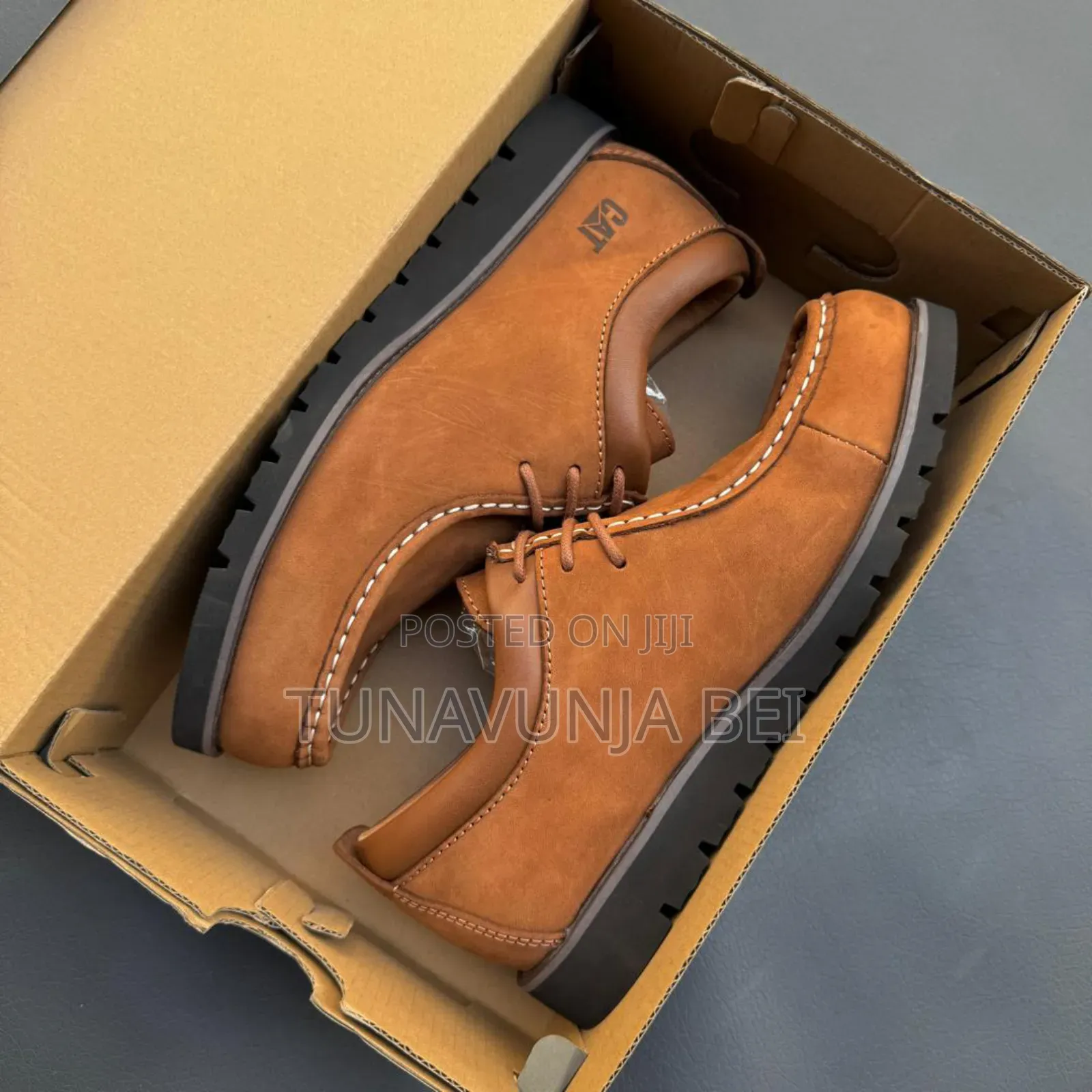 Cats Cracks Leather Shoes