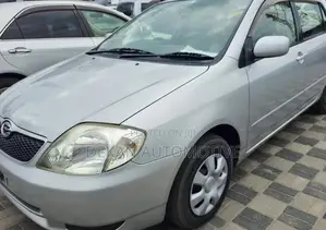 Toyota Allex 2003 Silver