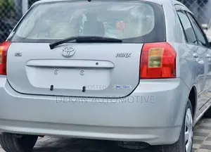 Toyota Allex 2003 Silver