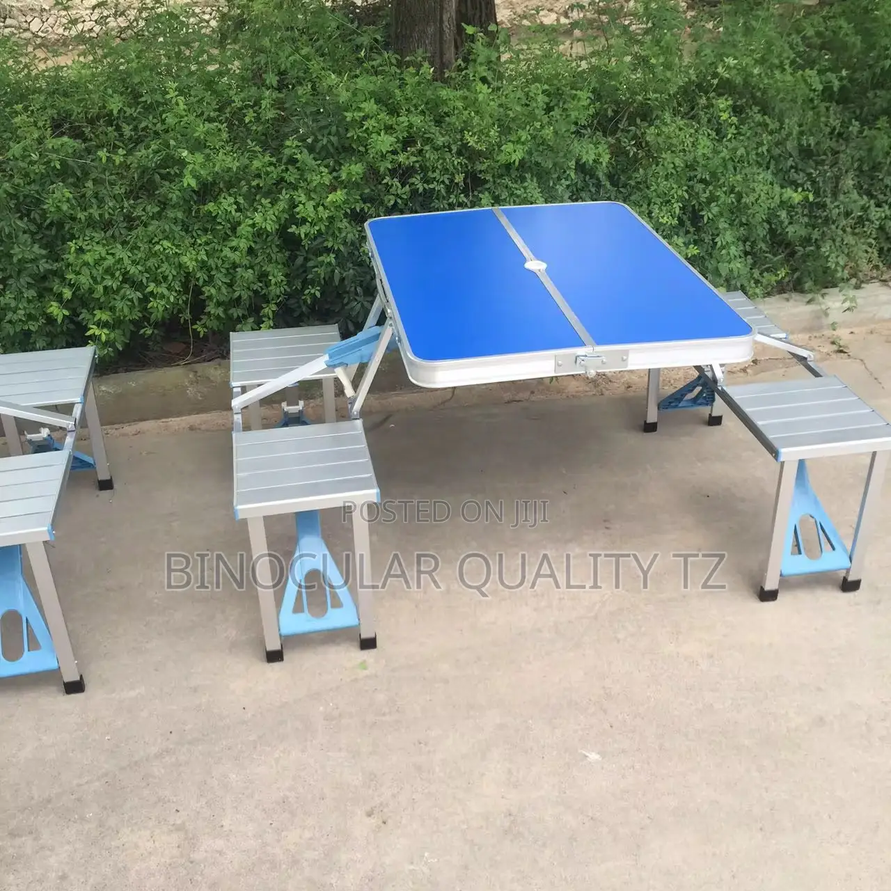 Portable Picnic Table