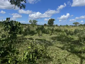 Shamba Linauzwa Kiwangwa
