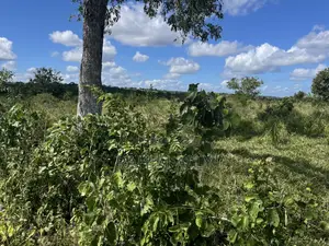 Shamba Linauzwa Kiwangwa