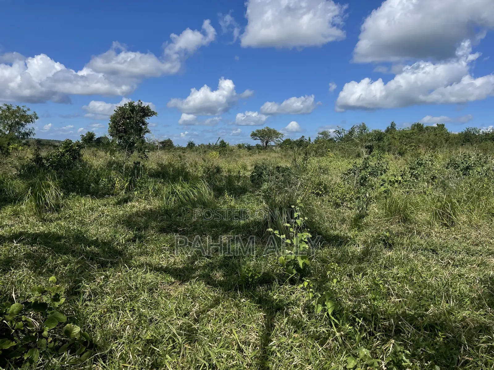 Shamba Linauzwa Kiwangwa