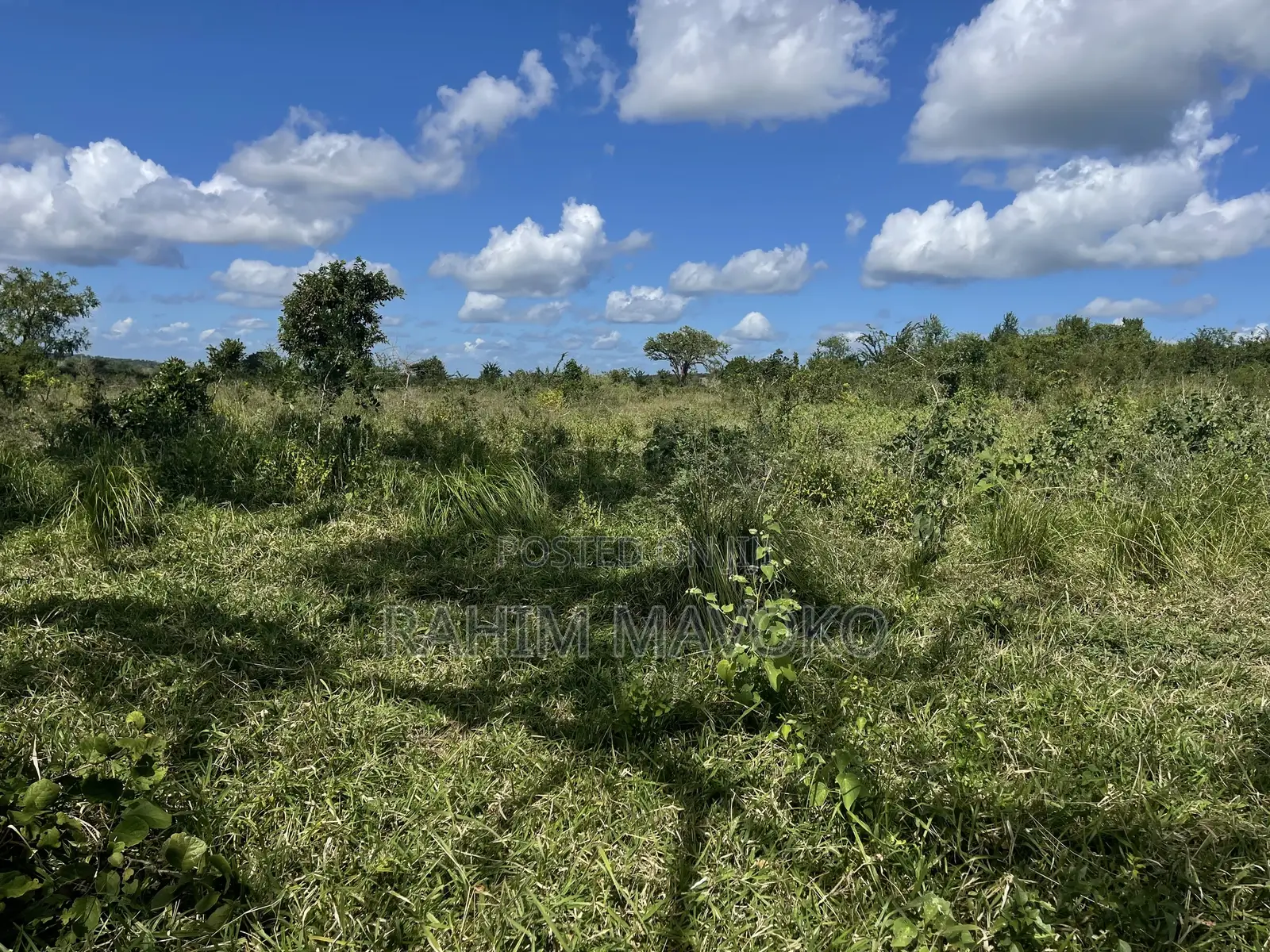 Shamba Linauzwa Kiwangwa