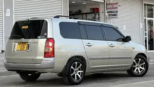 Toyota Succeed 2004 Gold